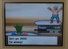 The end of a battle. On the left is a roselia, his name is 'Reggie'. On the right is Crasher Wake. There is a textbox at the bottom, it says 'Seth got 4440 pokedollars for winning!'