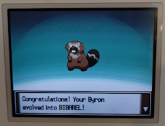 'Congratulations! Your Byron evolved into BIBAREL!'