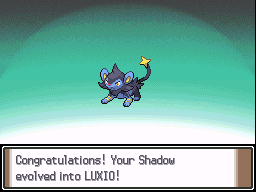 'Congratulations! Your Shadow evolved into LUXIO!'
