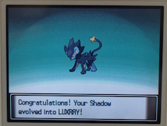'Congratulations! Your Shadow evolved into LUXRAY!'