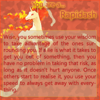 I am a Rapidash